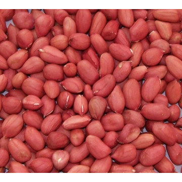 Raw Red Skin Peanuts